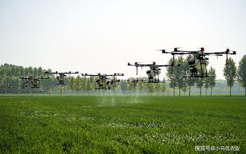 無人化浪潮下的新農人 農業科技革命與未來耕作圖景